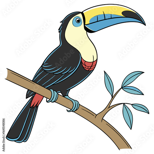 toucan on a branch