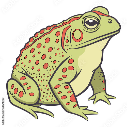 funny frog cartoon