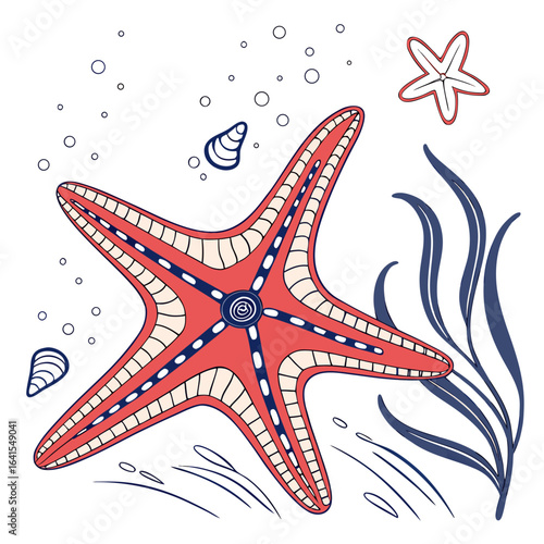 set of sea stars