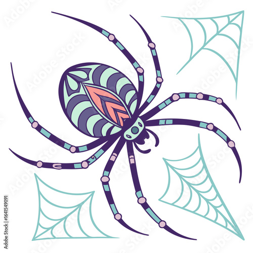 spider and web