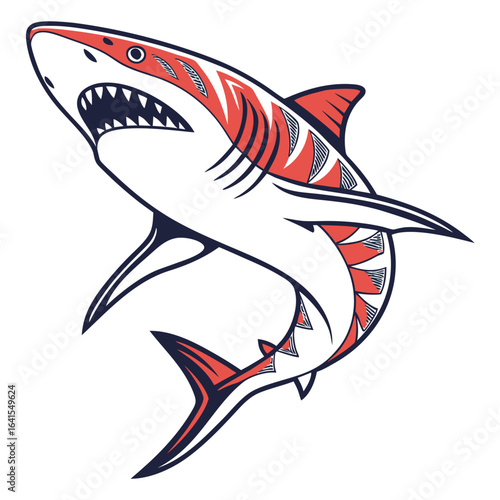vector illustration of a shark