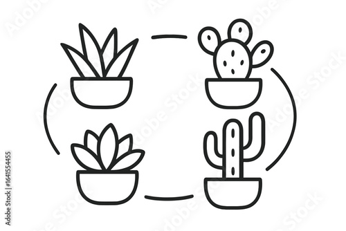 Plants arranged in planters with geometric patterns featuring succulents and cacti in a minimalist style
