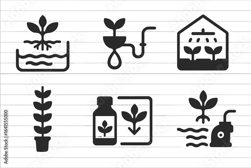 Growing plants through hydroponic techniques with various equipment and tools in a supportive environment