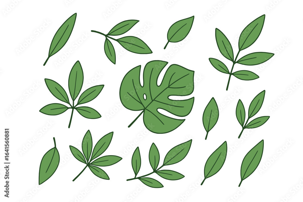 Naklejka premium Green leaf collection, hand drawn botanical illustration. Tropical foliage set, assorted nature leaves, Monstera and assorted greenery, eco graphic design, garden, forest, natural element vector