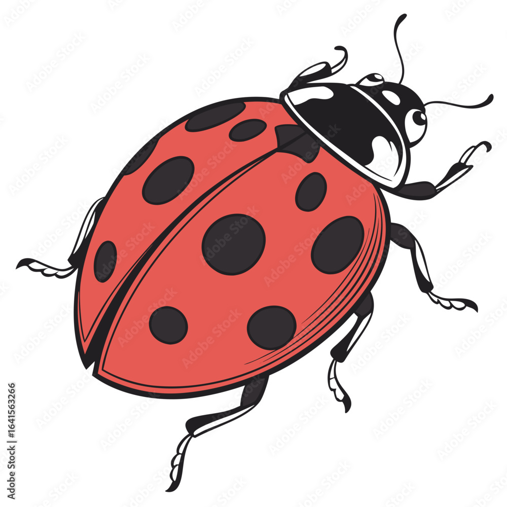 Obraz premium ladybird vector illustration