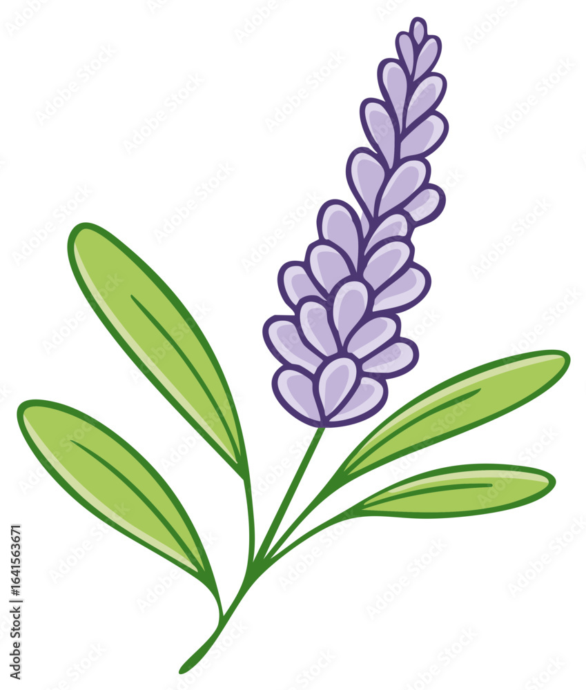 Obraz premium Stylized Lavender Flower with Green Leaves, Simple Floral Illustration