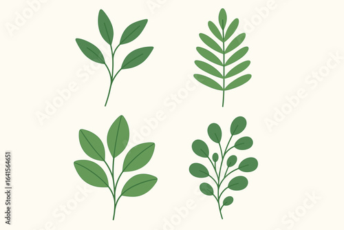 Botanical leaves and foliage vector set. Collection of 4 green plant branches in flat cartoon style. Simple nature elements isolated on light background. Decorative floral illustrations for design