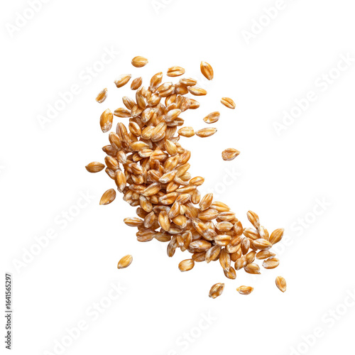 Organic Farro Grain Falling in Air, Isolated on Black Background