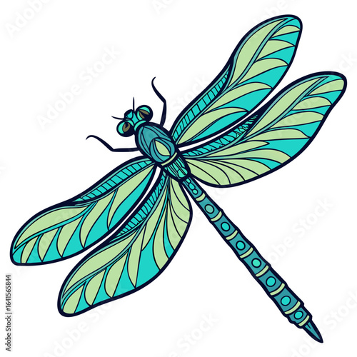 dragonfly vector illustration