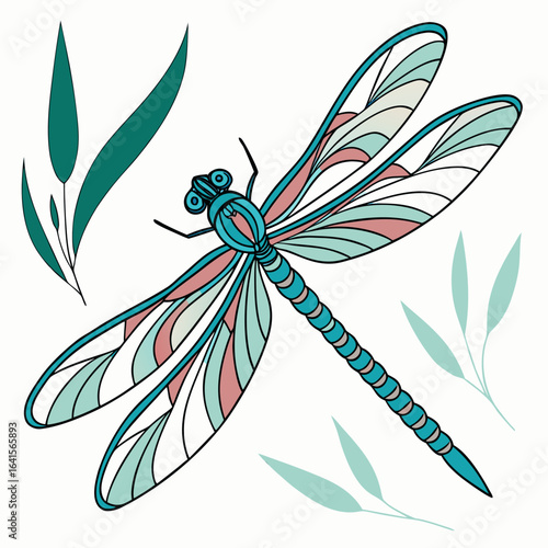 dragonfly on a white background