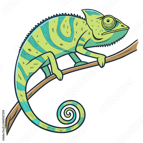chameleon on a white background