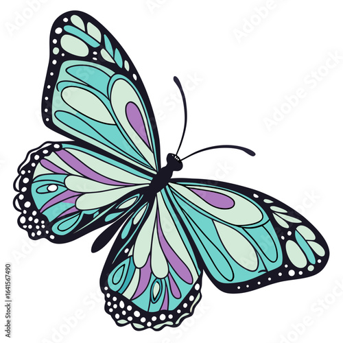 butterfly vector illustration