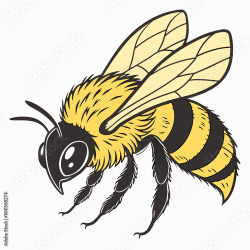 bee vector illustration