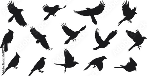 Collection of black bird silhouettes in various flying and perched poses flying bird perched bird