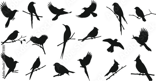 Collection of black bird silhouettes perched on branches and in flight white flying