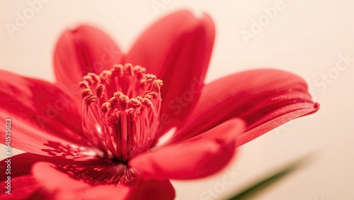 Intense Crimson Detailed Flower
