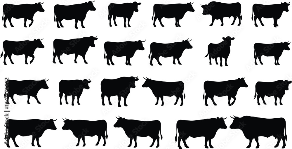 Obraz premium Collection of black cow silhouettes in various poses and orientations on a white background cattle black and white