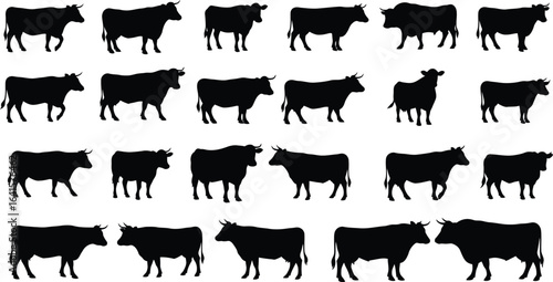 Collection of black cow silhouettes in various poses and orientations on a white background cattle black and white