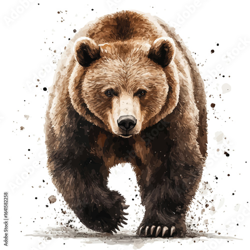 Brown Bear, watercolor drawing vector, isolated on a white background.