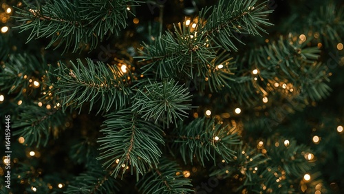 Texture of pine needle branches adorned with twinkling lights, holiday theme