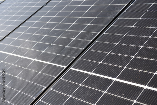 Close-up of photovoltaic solar panels in sunlight