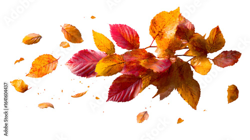 Vibrant autumn leaves in a dynamic swirl, capturing the beauty of seasonal change with warm colors and natural textures, perfect for festive design.