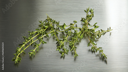 Fresh thyme sprigs on brushed metal surface invite culinary creativity and delicious meals, perfect for food bloggers, chefs, and healthy recipe inspiration