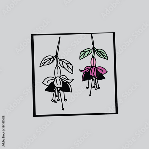 Pink Fuchsia Flower Botanical Illustration