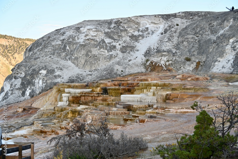 Naklejka premium Mammoth Hot Springs Terraces