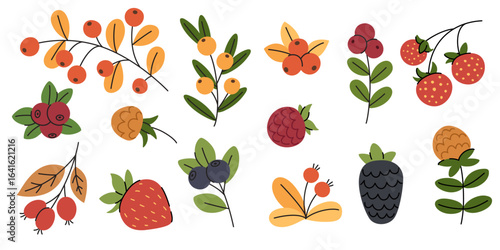Cute cartoon set of berries and branches. Colorful hand-drawn collection with strawberries, blueberries, raspberries, blackberries, lingonberries, cranberries, rowanberries, sea buckthorn.