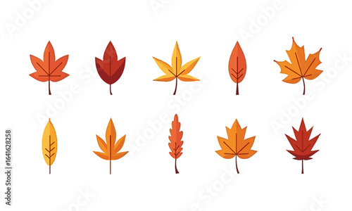 Modern vector illustration of various autumn leaves in different botanical shapes, Autumn leaves icons set,Abstract autumn leaf, modern botanical set. Foliage, plant elements bundle, easily editable. 