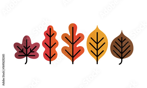 Modern vector illustration of various autumn leaves in different botanical shapes, Autumn leaves icons set,Abstract autumn leaf, modern botanical set. Foliage, plant elements bundle, easily editable. 