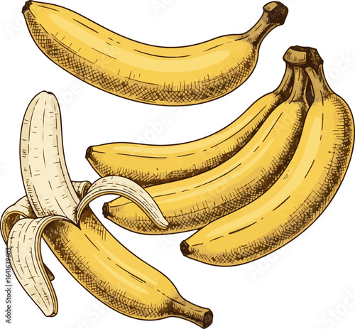 Vector art of bunch of ripe yellow bananas, one peeled, isolated on white background