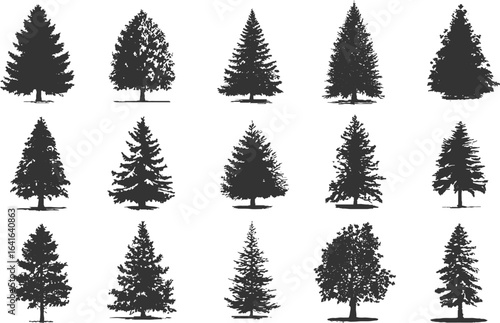 Set of silhouettes various trees on a white background, 