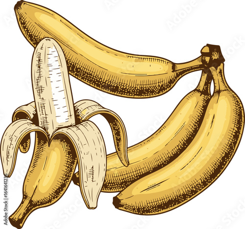 Vector art of bunch of bananas, one peeled, isolated on white background