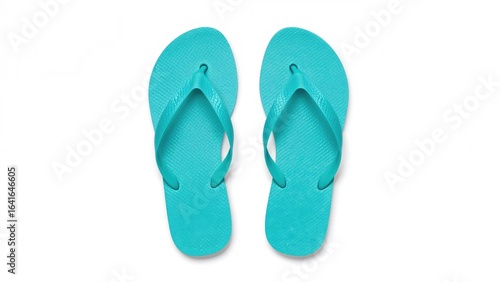 Bright turquoise rubber fli...