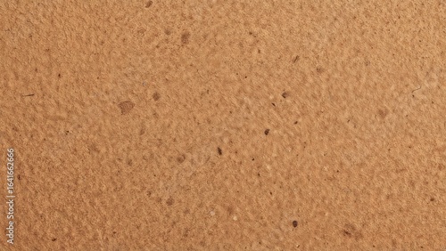 Textured cork board surface...