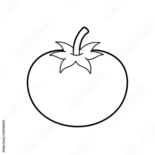 Tomato outline artful on transparent background