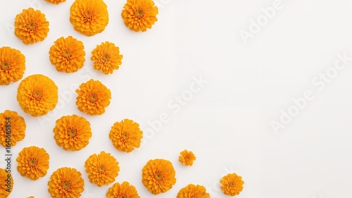 Yellow marigold blooms laid...