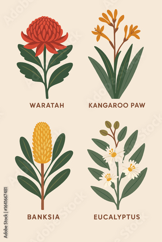 Flat vector illustration of four Australian native plants — Waratah, Kangaroo Paw, Banksia, and Eucalyptus — in a botanical collection on a beige background