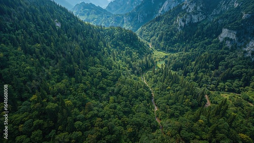 Looking Down on Untouched N...