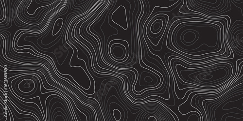 Abstract dark topographic map pattern with smooth contour lines on a black background. Modern minimalistic elevation design, perfect for backgrounds, wallpapers, or technology themes.