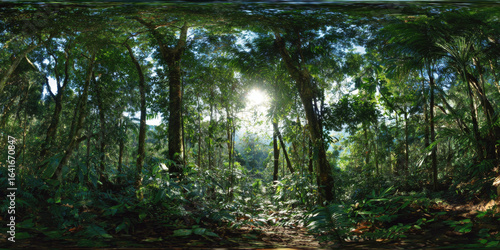 HDRI rain in the forest