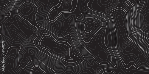 Abstract dark topographic contour map background with smooth flowing lines and modern minimal design. Elegant black pattern ideal for wallpapers, presentations, and graphic design projects.