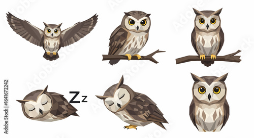 A collection of six detailed brown owl illustrations in various poses, including flying, perching on a branch, and sleeping.