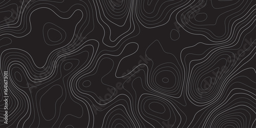Abstract dark topographic contour map background with smooth flowing lines and modern minimal design. Elegant black pattern ideal for wallpapers, presentations, and graphic design projects.
