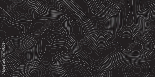 Abstract dark topographic contour map background with smooth flowing lines and modern minimal design. Elegant black pattern ideal for wallpapers, presentations, and graphic design projects.