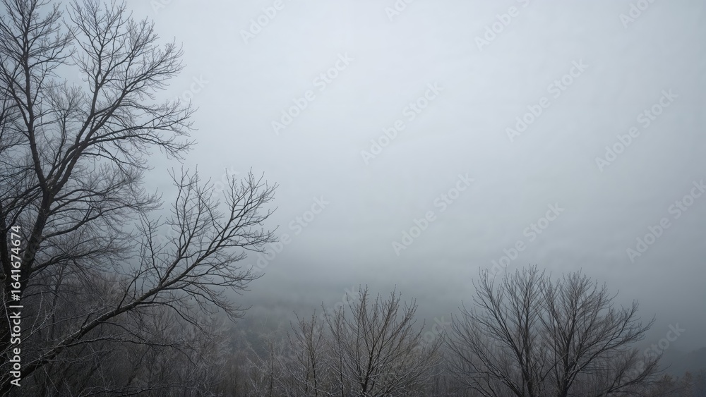 Obraz premium Chilly Winter Morning With Fog