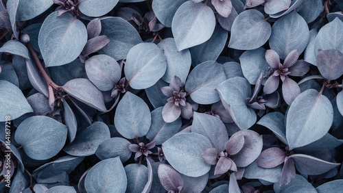 Flat lay of leaves featurin...