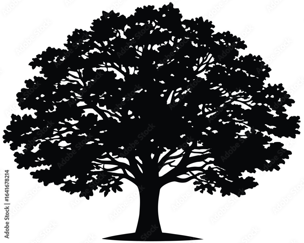 Fototapeta premium Oak Tree Silhouette